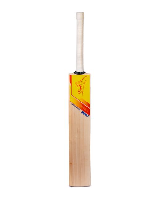 ENGLISH WILLOW CRICKET BAT IMPACT